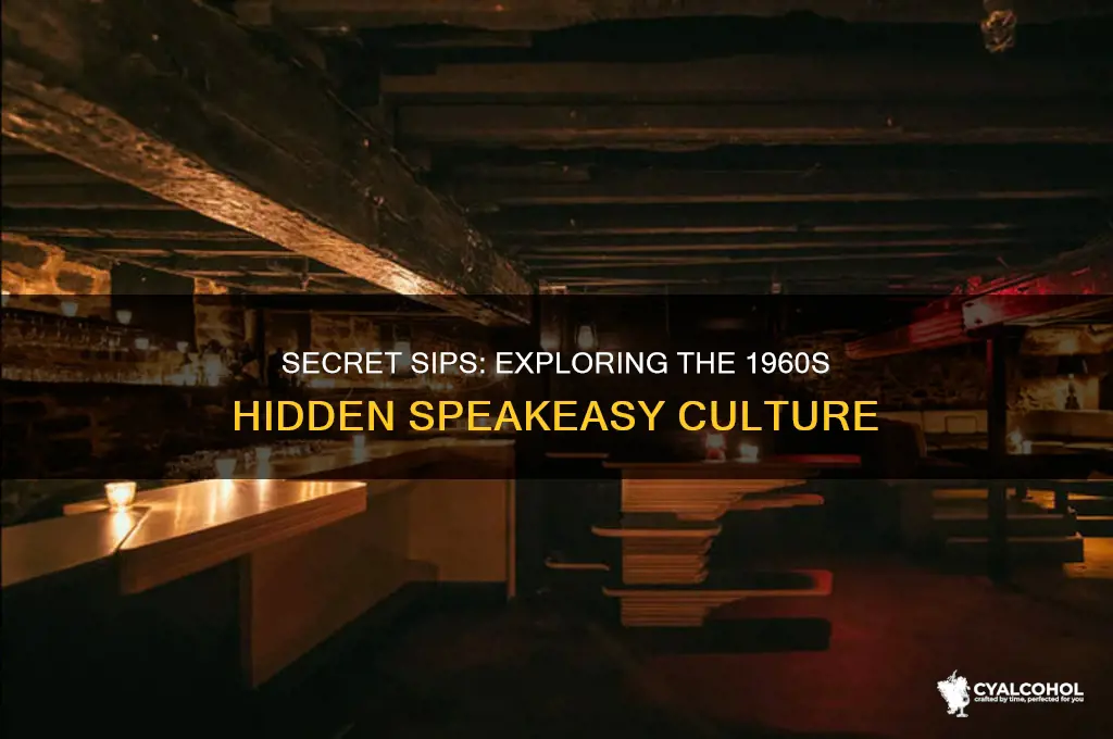 what are 1960s underground alcohol places