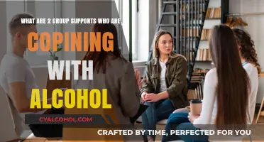 Alcohol Support Groups: Two Communities to Lean On