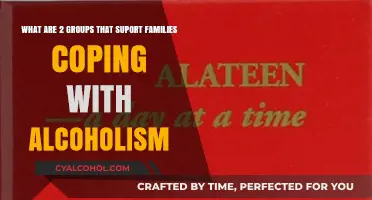 Support Groups for Families Coping with Alcoholism
