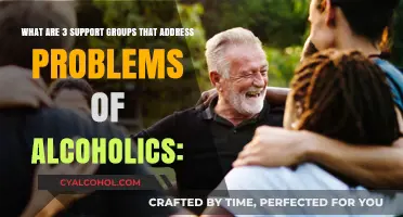 Support Groups: Aiding Alcoholics in Recovery