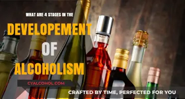 Alcoholism Progression: 4 Stages of a Dark Journey