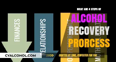 Steps to Sobriety: A Guide to Alcohol Recovery Process