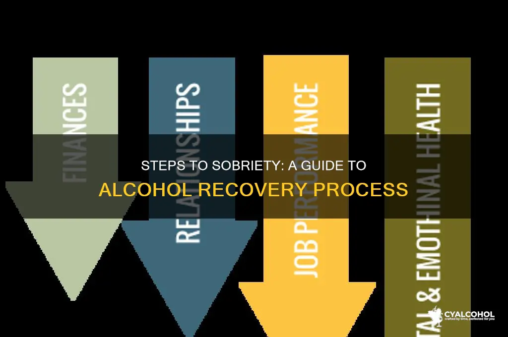 what are 4 steps of alcohol recovery prorcess