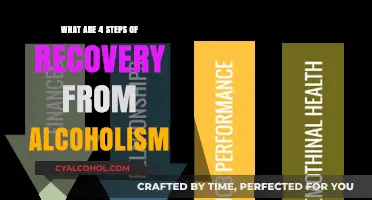 Steps to Sobriety: A Guide to Alcoholism Recovery