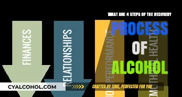 Steps to Recovery: Alcohol Rehab Process