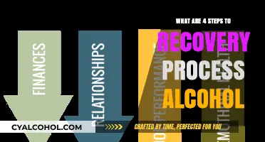 Steps to Sobriety: A 4-Step Alcohol Recovery Process Guide