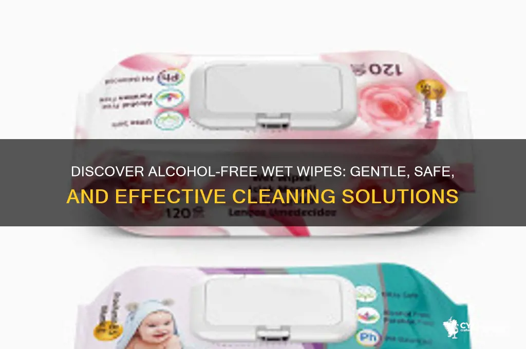 what are alcohol free wet wipes