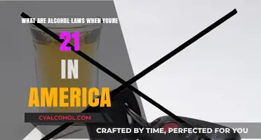 Exploring Alcohol Laws in the US at 21