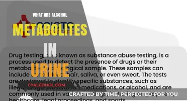 Understanding Alcohol Metabolites in Urine: Detection, Process, and Significance