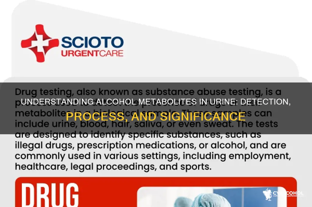 what are alcohol metabolites in urine