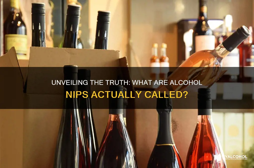 what are alcohol nips actually called