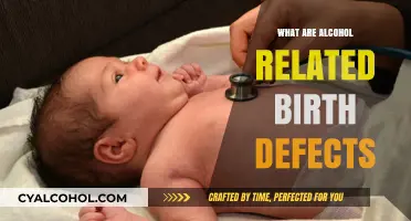 Understanding Alcohol-Related Birth Defects: Causes, Risks, and Prevention Tips