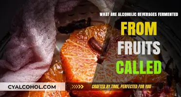 Fruit-Fermented Alcoholic Beverages: Exploring Their Names and Origins
