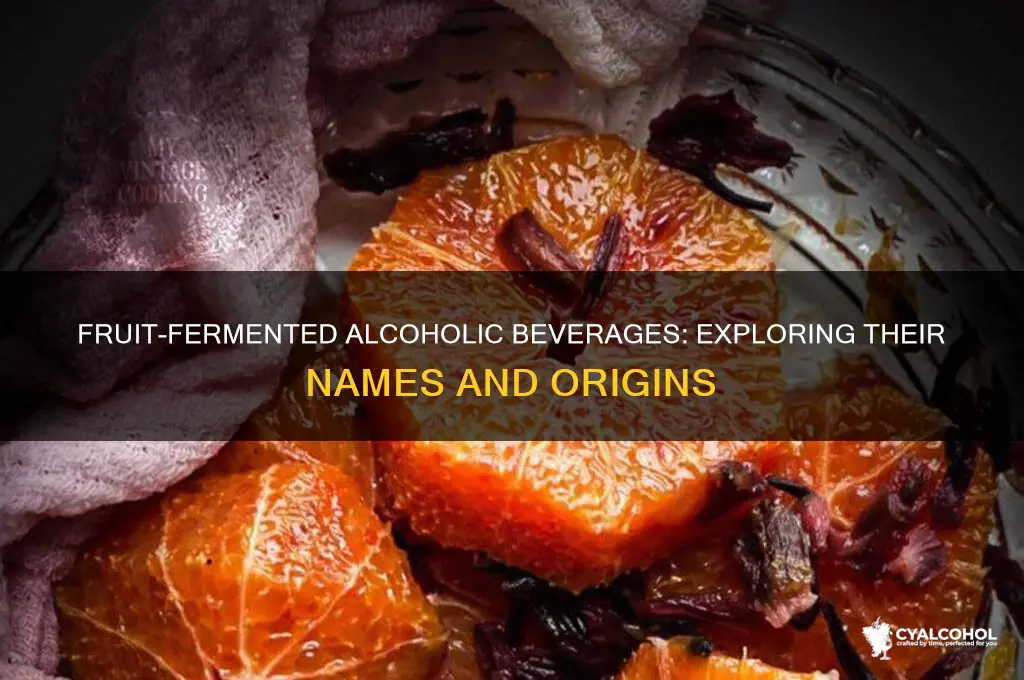 what are alcoholic beverages fermented from fruits called