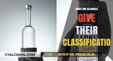 Understanding Alcohols: Types, Classification, and Chemical Properties Explained