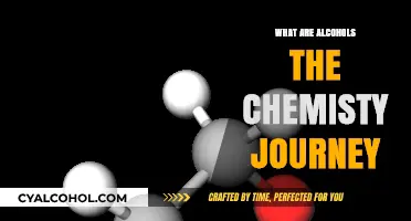 Exploring Alcohols: Unveiling the Chemistry Behind These Compounds