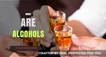 Understanding Alcohols: Types, Properties, and Common Uses Explained