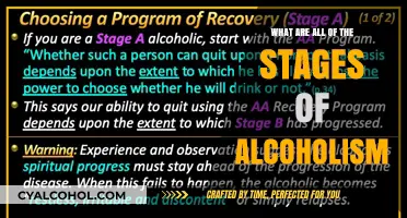 Understanding Alcoholism: Exploring the Progressive Stages of Addiction