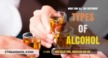 Exploring the Diverse World of Alcohol Types and Varieties