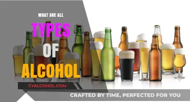 Exploring the Diverse World of Alcohol Types and Varieties