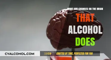 Alcohol's Impact: Brain Changes and Effects