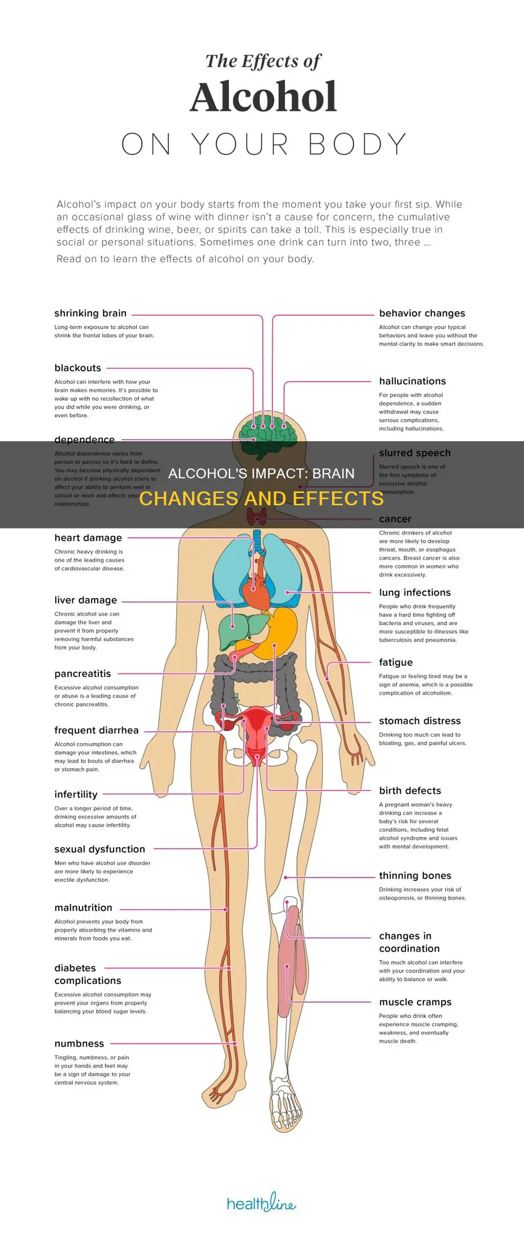 what are changes on the brain that alcohol does