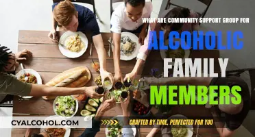 Support Groups for Families of Alcoholics: Finding Solace