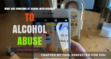 Alcohol Abuse: Concerns and Challenges in Schools