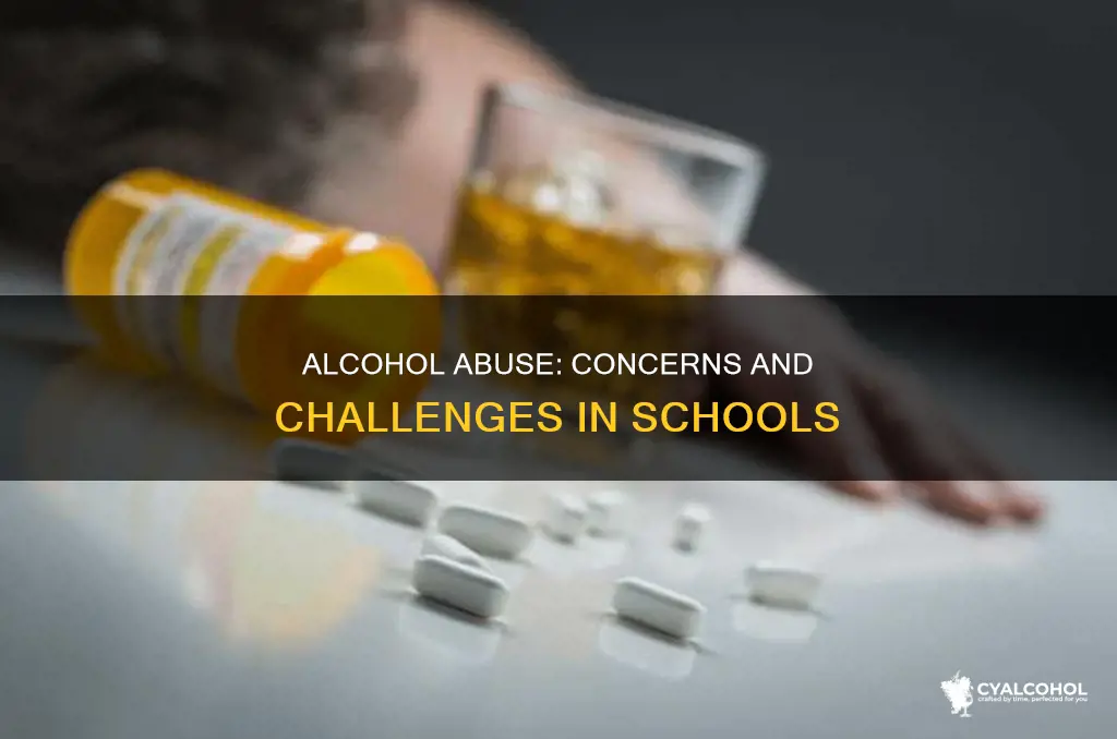 what are concerns at school with regards to alcohol abuse