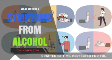 Understanding Alcohol Detox Symptoms: What to Expect During Recovery