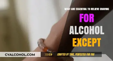 Strategies to Curb Alcohol Cravings and Stay Sober