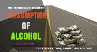 Understanding Federal Alcohol Consumption Laws: Regulations and Restrictions Explained