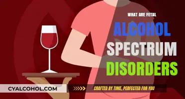 Understanding Fetal Alcohol Spectrum Disorders: Causes, Symptoms, and Prevention