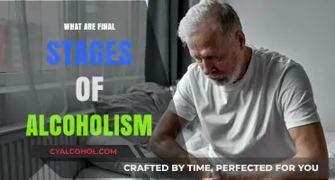 Understanding the Devastating Final Stages of Alcoholism: Symptoms and Support