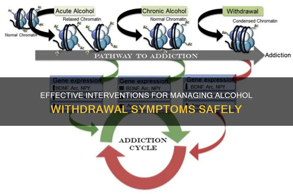 what are interventions of alcohol withdrawl