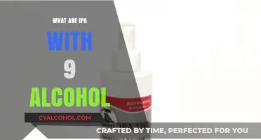 Exploring High-Alcohol IPAs: 9% ABV Craft Beer Varieties Unveiled