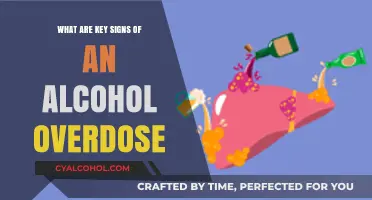 Recognizing Critical Signs of Alcohol Overdose: What You Need to Know