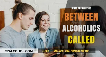 Understanding Support Gatherings: What Are Meetings Between Alcoholics Called?