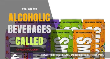 Exploring the World of Non-Alcoholic Drinks: Names and Varieties