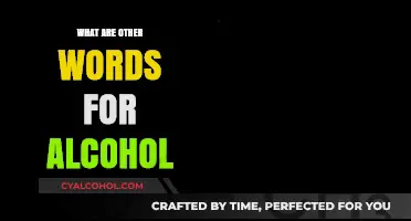 Exploring Synonyms: Alternative Terms for Alcohol and Their Meanings