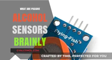 Understanding Passive Alcohol Sensors: Functionality and Applications Explained