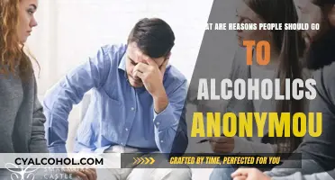 Alcoholics Anonymous: Support, Community, and a Fresh Start
