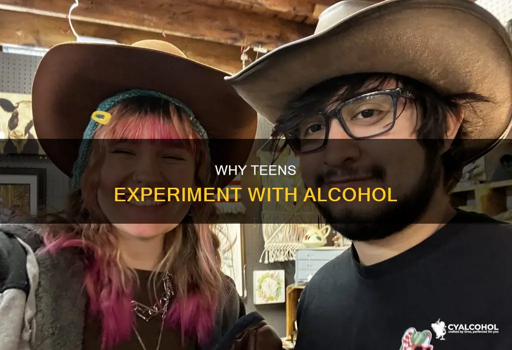 what are reasons teens might give for expiramenting with alcohol