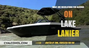Lake Lanier Alcohol Regulations: What You Need to Know