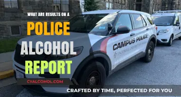 Understanding Police Alcohol Report Results: Key Insights and Implications