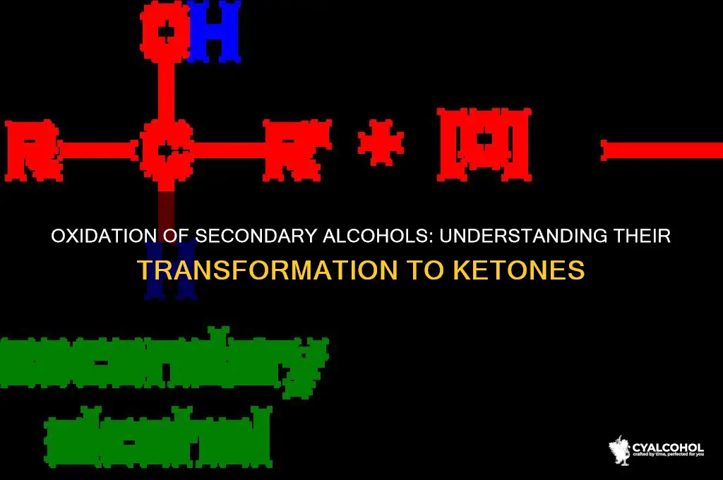 what are secondary alcohols oxidized to