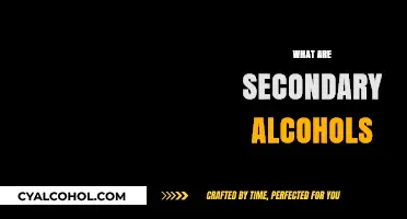 Understanding Secondary Alcohols: Structure, Properties, and Key Applications
