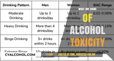 Recognizing Alcohol Toxicity: Key Symptoms and Warning Signs to Watch