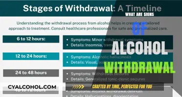 Recognizing Alcohol Withdrawal Symptoms: Key Signs and Early Indicators