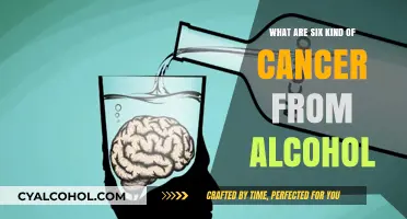 Alcohol-Related Cancers: Six Types Linked to Drinking Habits